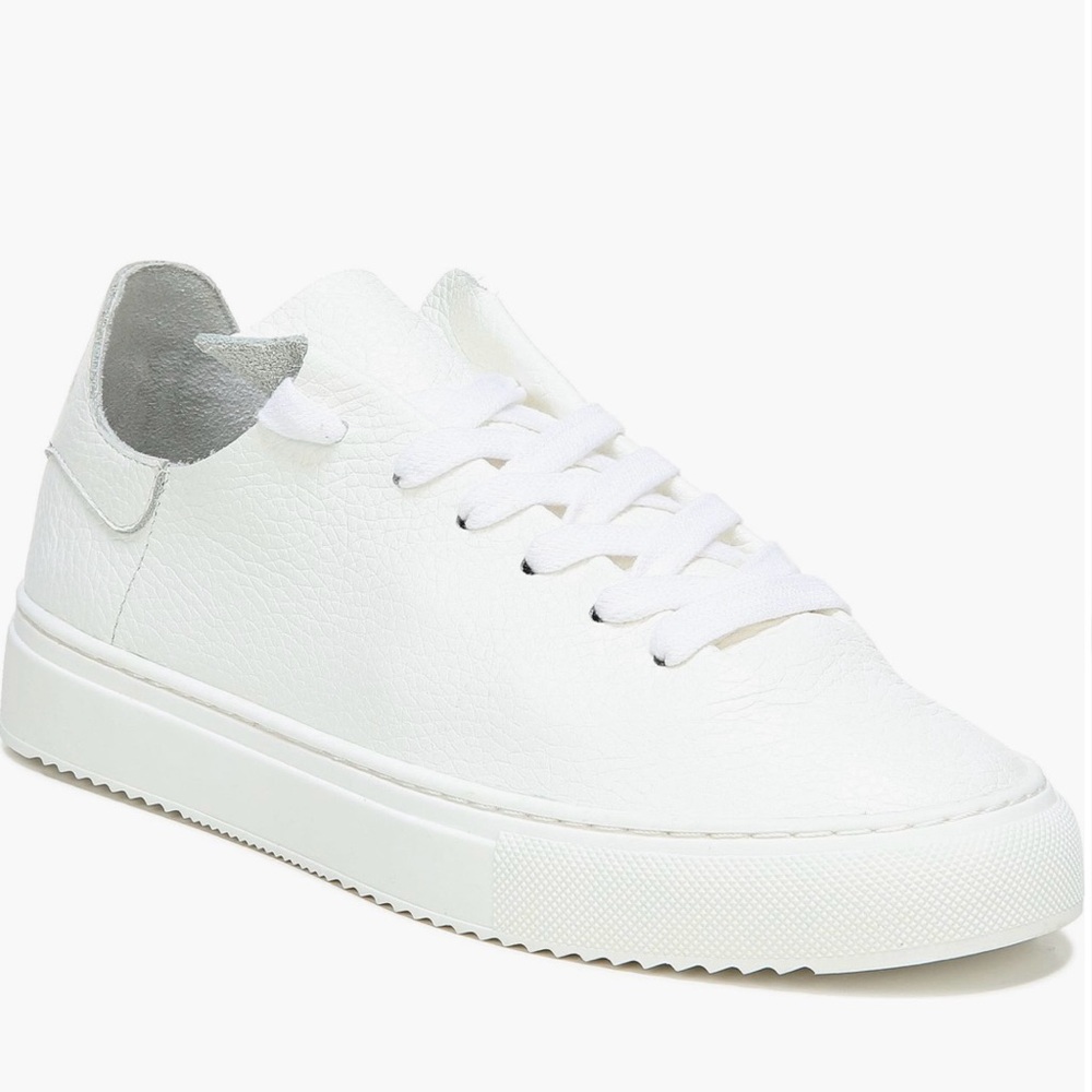Sneakers Sam Edelman